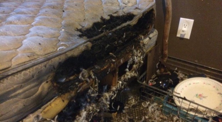 Mattress fire injures 2 in South Tahoe