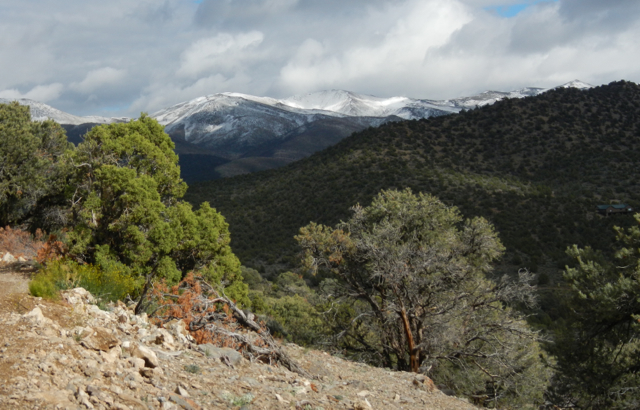 Dry cheatgrass in Nevada poses wildfire danger
