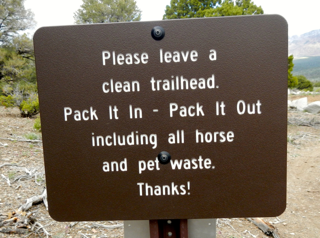 Pinyon trail, hike near gardnerville