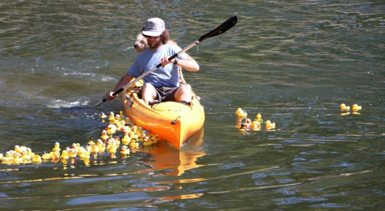 Duckee Derbee to benefit Humane Society