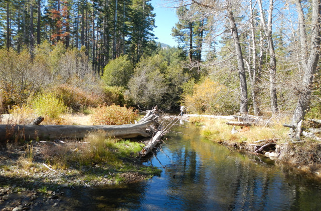Mountain water may look clear, but don’t trust it