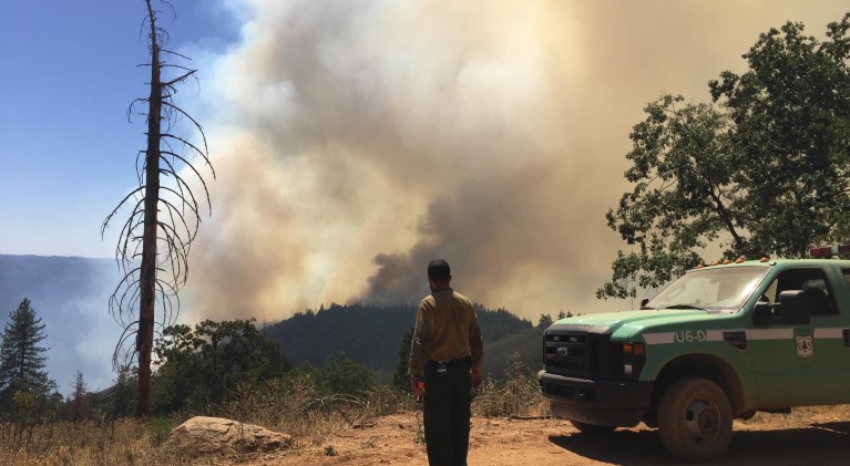 Why fighting wildfires often fails