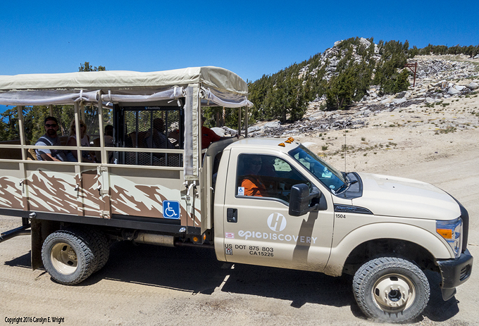 The 4-wheel drive excursion takes people to an elevation of 10,000 feet. Photo Copyright 2016 Carolyn E. Wright