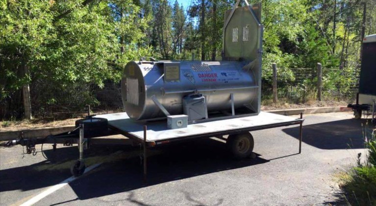 Officials trying to trap bear at Sand Harbor