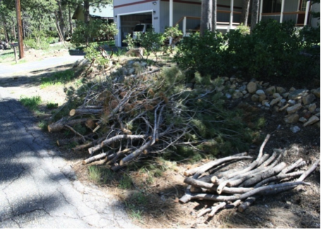Lake Valley expands wood chipping program to SLT