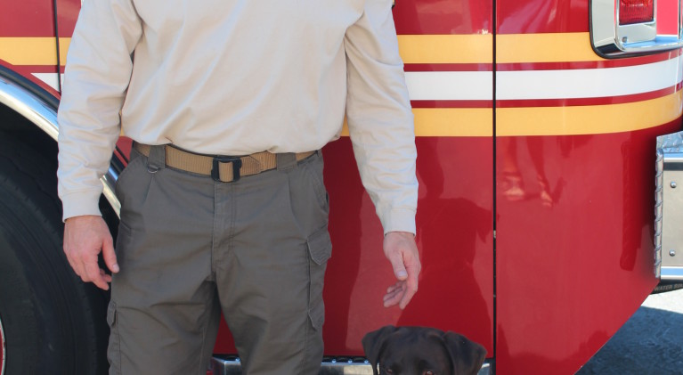 Tahoe Douglas Fire hires bomb sniffing dog