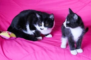 Prince and Princess