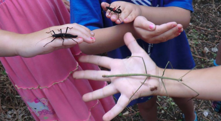 Bugs to be main focus at SLT Library