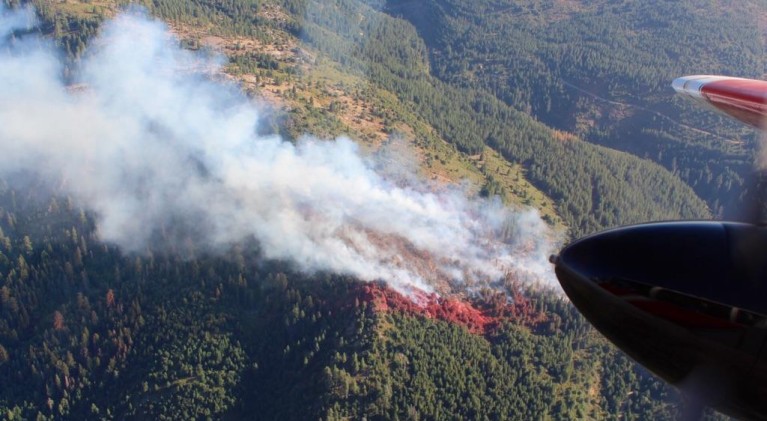 Opinion: Will Calif. ever let Sierra forests burn?