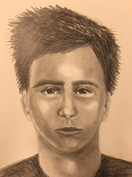 Sketch released in SLT sexual battery case