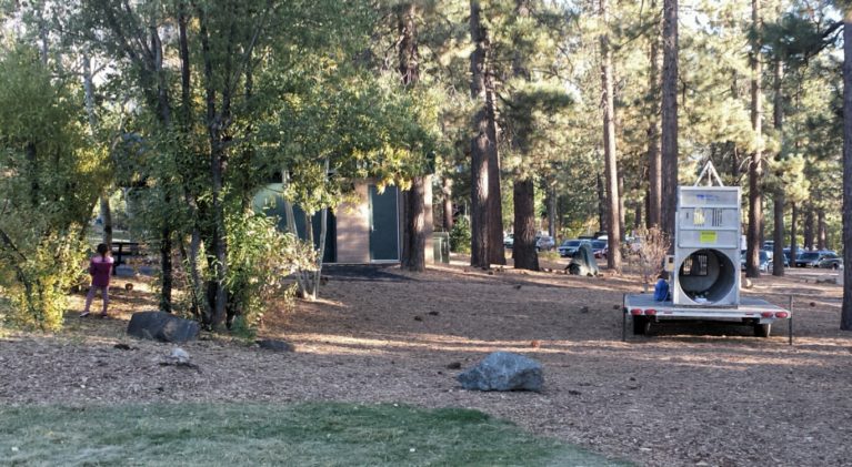 Bear trap set near Kahle playground