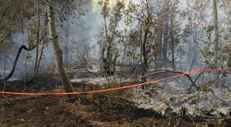 Wind, humidity create high fire danger