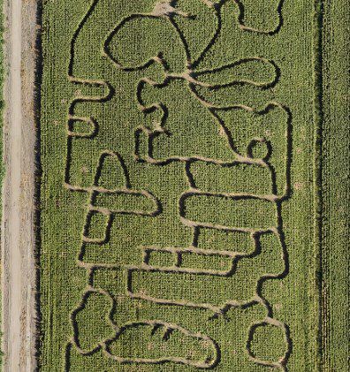 ‘Great Pumpkin’ celebration at Nevada farms
