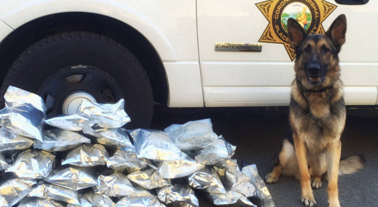 Cops confiscate 18 pounds of pot in Truckee