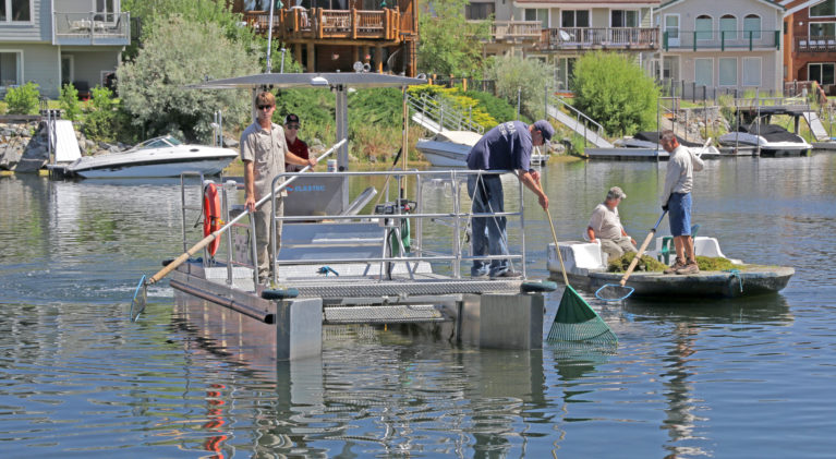 Tahoe Keys wants to use herbicides in canals