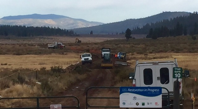 Work in the Martis Valley is one of the Truckee River Watershed Council projects. Photo/LTN
