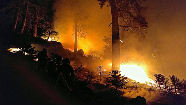 A wildland fire burns Sept. 1 in South Lake Tahoe. Photo/Provided