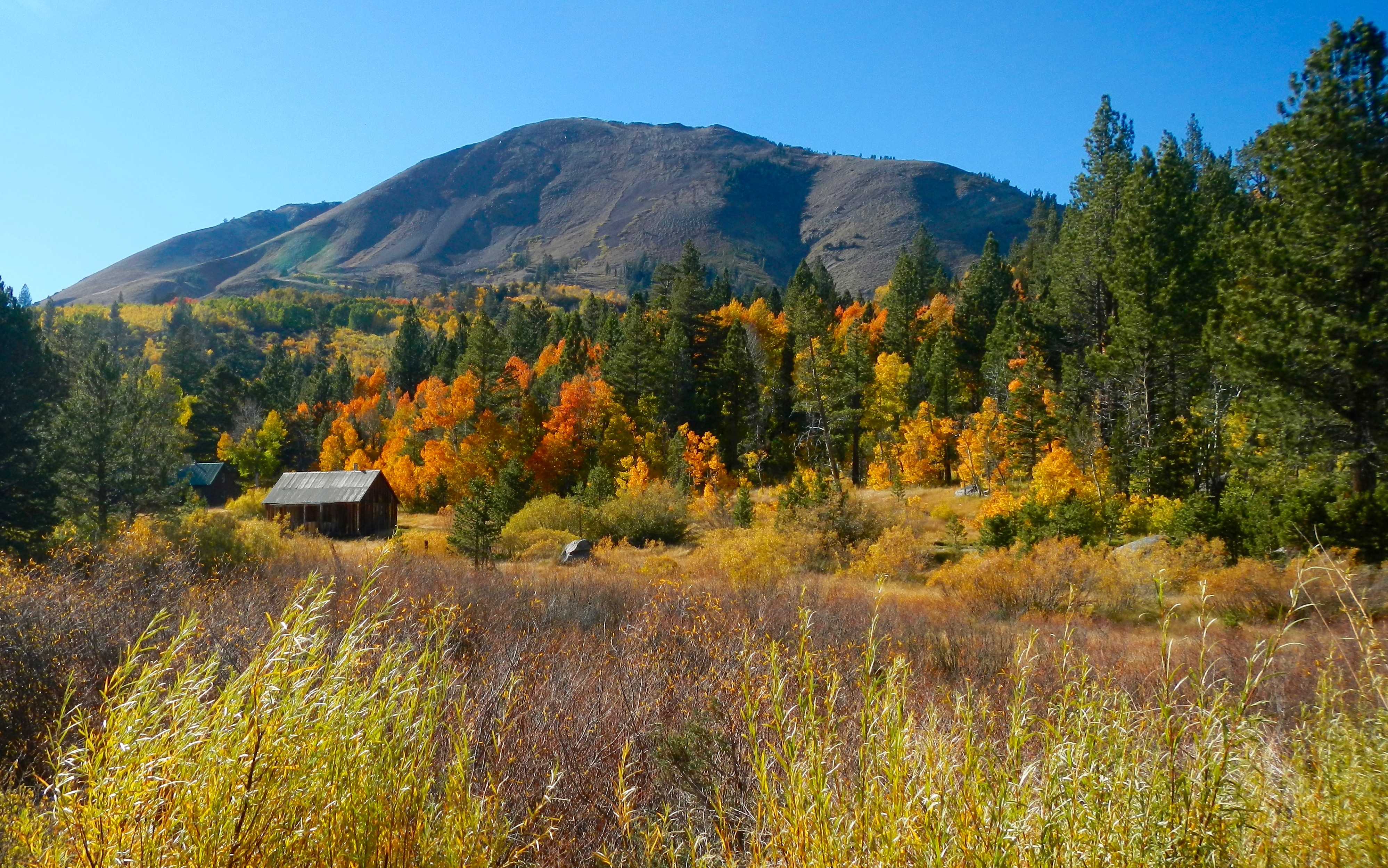 The days are numbered to see the fall colors in Hope Valley. Photo/Kathryn Reed