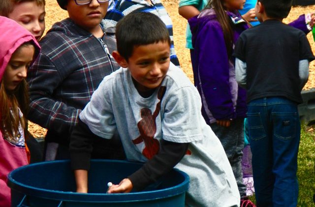 Elementary students learn intricacies of water