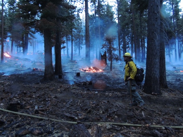 A firefighter keeps a watchful eye on the blaze along a fire line near Highway 89 north of Spring Creek tract on Oct. 14. Photo/Taylor Flynn/Tahoe Mountain News