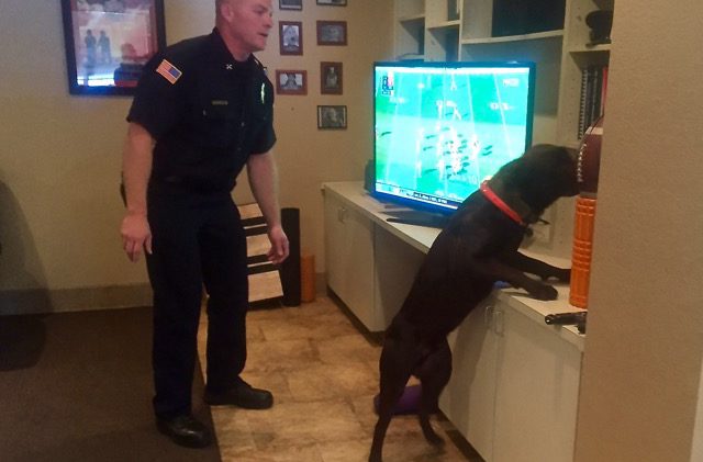 Bomb sniffing dog keeps South Shore safe