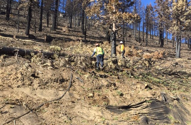 USFS ready to restore Emerald Fire scar