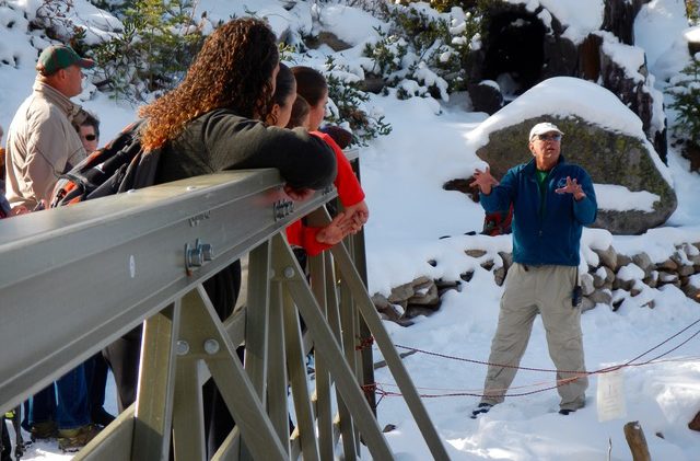 Nev. bridges strong, but upgrades needed