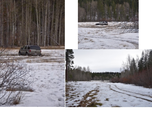 A driver got caught four-wheeling in a Tahoe meadow on Dec. 11. Photos/LTN