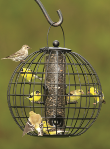 It's possible to attract birds to one's home. Photo/Gardener’s Supply Company