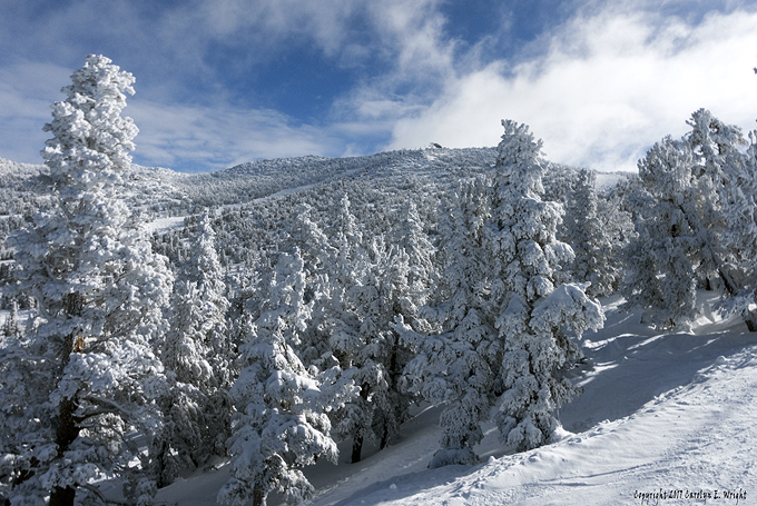 Heavenly Mountain Resort has enough snow to provide skiing well into spring. Photo Copyright 2017 Carolyn E. Wright