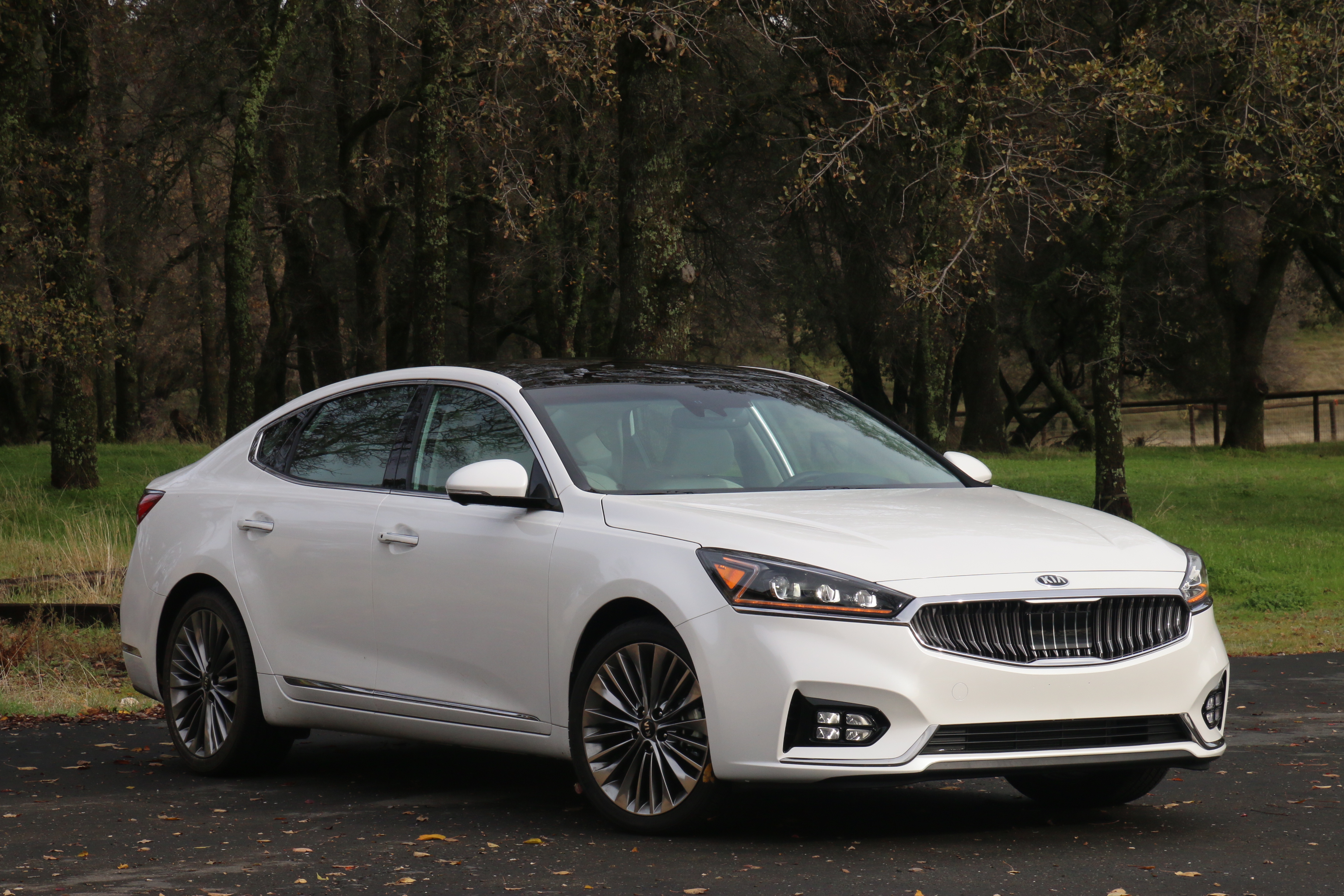 The Kia Cadenza's 2017 model is worth taking a spin. Photos/Larry Weitzman