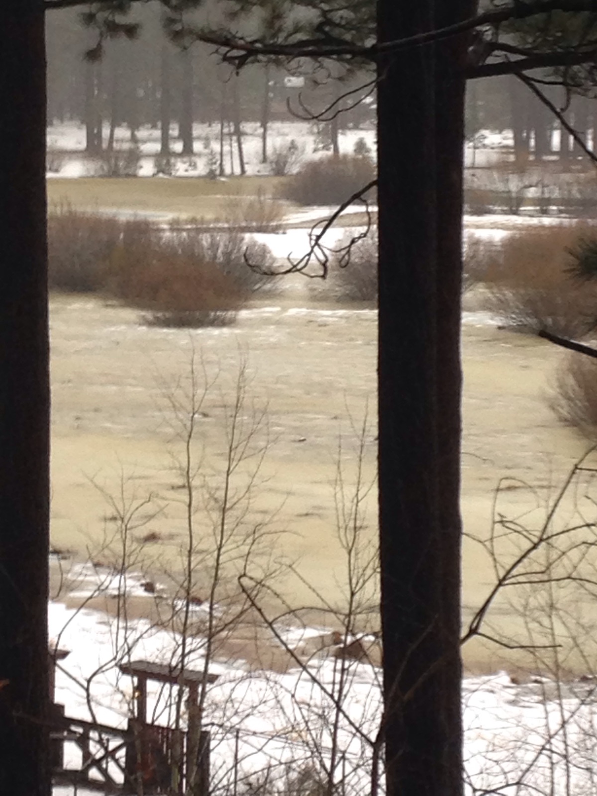 Trout Creek behind the houses on El Dorado Street in South Lake Tahoe looks more like a river on Jan. 8 and it keeps expanding. Photo/Lisa Huard