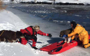 Two dogs are rescued Jan. 28 in South Lake Tahoe. Photo/Provided