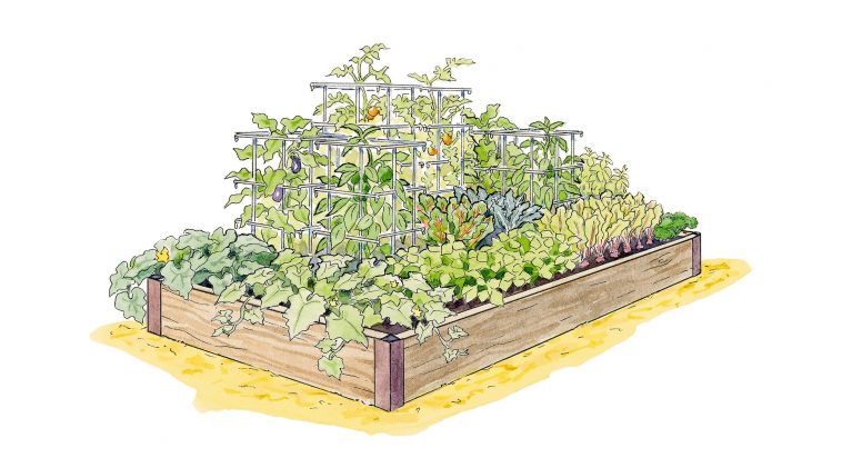 Grow a high yield veggie garden this season