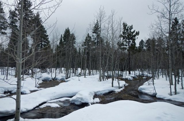 Calif. water conservation increases in Feb.