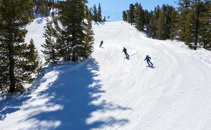 Heavenly tree removal could reduce bottlenecks