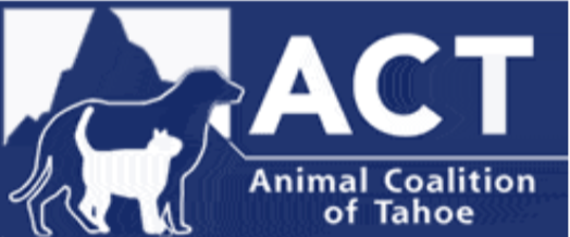 Beer, bingo and burritos benefits animal group
