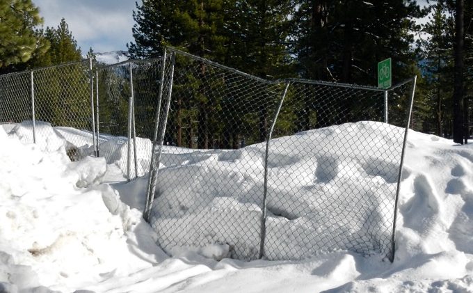 LTCC not sure it wants SnowGlobe to return