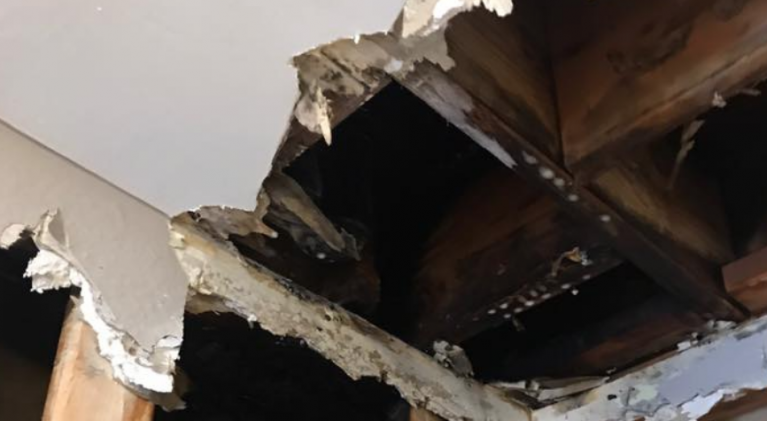 Maintenance worker ignites fire at SLT hotel