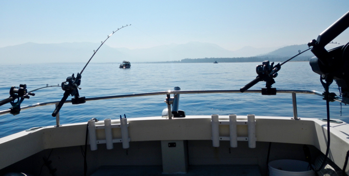 A massive die-off coming for California fish?