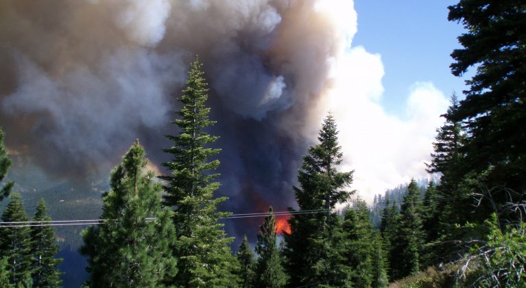 Why the West is burning this season