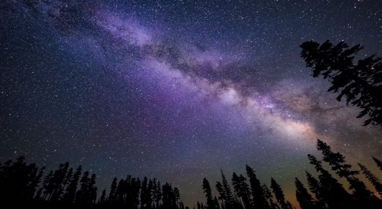 Star Guide: Tahoe pines block the light of stars