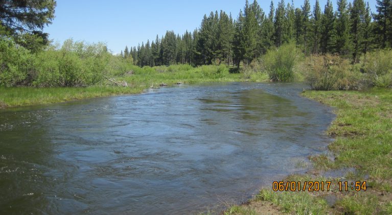 New Upper Truckee River channel being tested