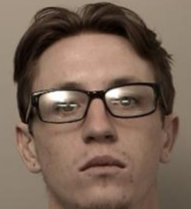Wanted sex offender back behind bars