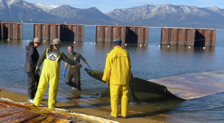 Money needed to rid Tahoe of invasive weeds