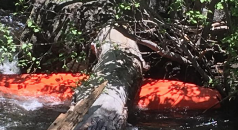 Kayaker pulled from Upper Truckee River