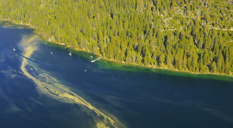 Pollen not hurting Lake Tahoe’s clarity