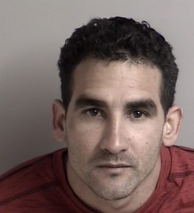 Carjacking, false imprisonment reported in SLT