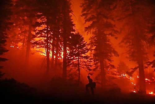 Treating all fires alike is not working