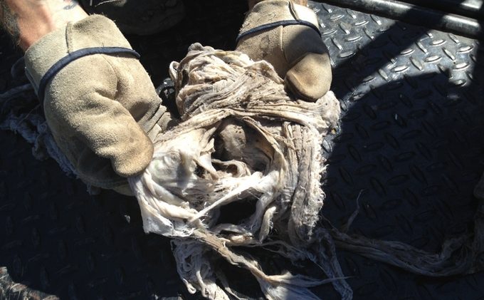 ‘Flushable’ wipes a problem for Tahoe sewers